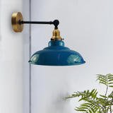 81381976