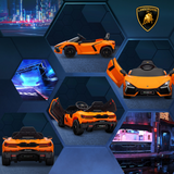 81351046
