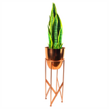 81394112