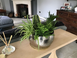 81394798