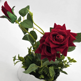 81356077