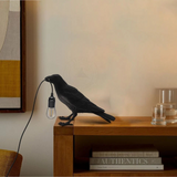 81376316