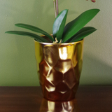 81391437