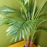 81395723