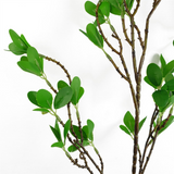 81391991