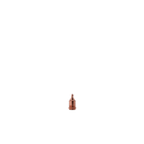 81361685