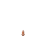 81379205