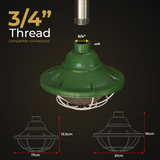 81413631