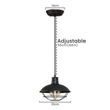 81355202