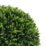 81397416