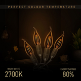 81383534