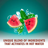 Radox Mineral Therapy Feel Hydrated Shower Gel 225 ml – Watermelon & Mint Refresh